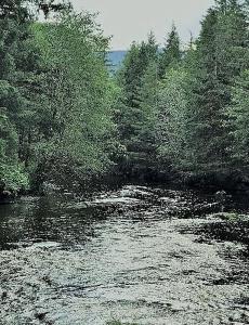 Charming -Frame Cabin Rental on Prince of Wales Island in Hollis, laska