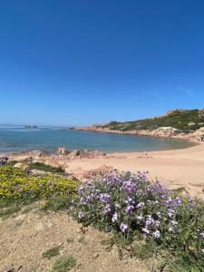 Isola Rossa Appartamenti Comfort plus img7