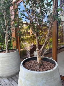 Casa Malibu_Praia do Forte