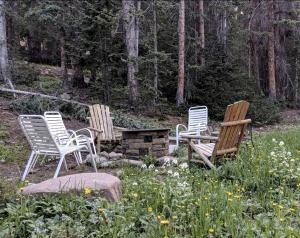 Pet Friendly Cabin for Fun Family Glamping Trips to Fairplay, Colorado