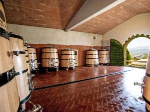 Holiday Home Ciliegiolo by Interhome