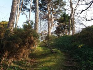 The Bunker Self Catering