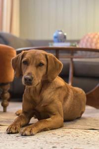 No48 - Luxe Edwardian Shop Conversion in Pewsey