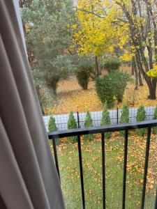 Izabelės apartamentai