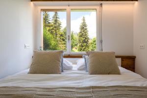 Ski-in Luxury Apartement in Center La Tzoumaz