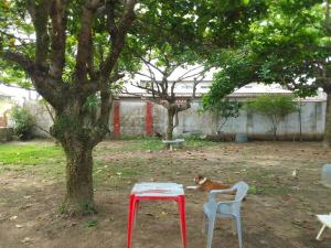 Mini casa no Camping da Família