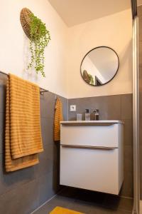 Heimbi-Home No 4, 4 People, EuropaPark, E-Ladesäule