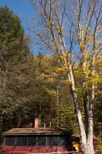 Hot Tub, Wood-burning Fireplace and 4 acres of Forest in Margaretville