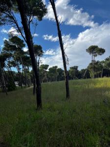 Departamento en peatonal y el mar