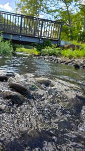 ALESIA Ferienwohnung Südpfalz