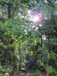 Tangara Real, Posada romántica entre bosque y rio