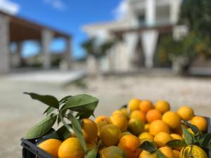 Rafaelia Premium villa with private pool in Drepano