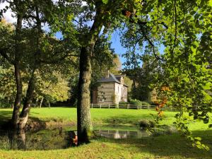 Haven Of Nature Between Forest And Sea In Normandy