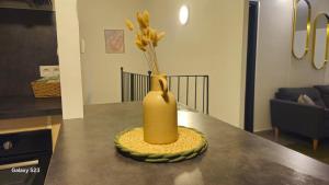 Charmant T2 centre-ville