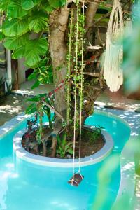 Chii Lú Casa de la Luna