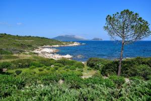 Villa Nodu Pianu Verde img18