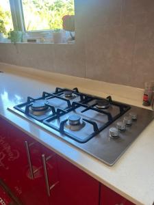 Alojamiento diario en Puerto Varas