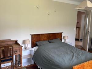 Appartement spacieux à Évian avec parking et animaux admis - FR-1-498-4