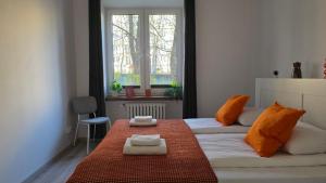 3 Rooms Comfort Capybara Apartment Free Parking by CityBeat