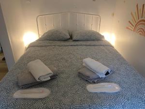 Maison climatisée Lyon-Bron Eurexpo - Stadium Groupama - Interdit aux événements