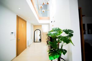 Villa Apollon: Seaside and luxurious