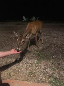 Waterfront Lake House on Lake LBJ