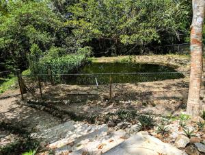 Palapa Ix-Chel - Unique bungalow