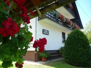 Apartments & Rooms Malej