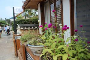 Sungsim Hanok Guesthouse