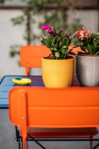 Angolo Felice - Appartamento di 3 camere - Tuscolana - Cinecittà