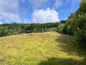 Apartament Cieńków 3