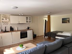 Apartament Cieńków 3