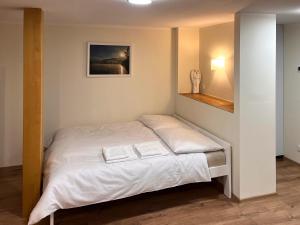 Apartament Cieńków 3