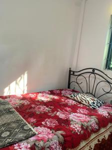 Messianic guest house