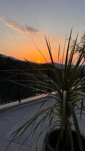 A CASA DI GHJULIA PISCINE CHAUFFEE PROCHE St FLORENT