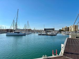 Large Studio with sleeping area