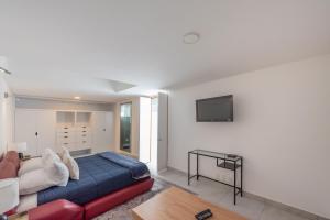 Modern and Luxurious Apartment in Condesa