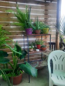 Loft vista a la bahía