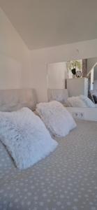 APARTMENTS IVANOViC CENTER CITY