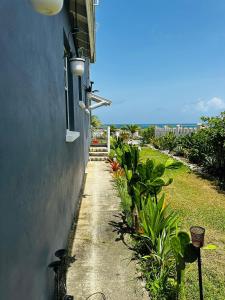 Coral Sea View Vacation Rental