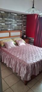 2 amb peatonal 6 pax