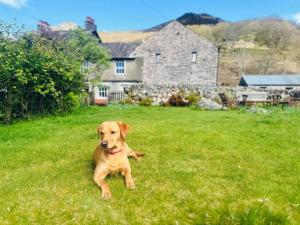 3 bed in Eskdale SZ313