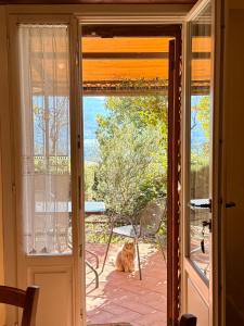 Margherita Holiday Home