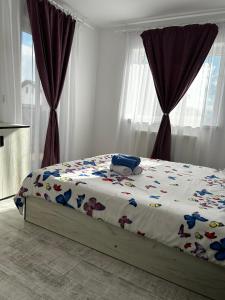 Apartament Cosminas Dream
