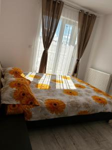 Apartament Cosminas Dream