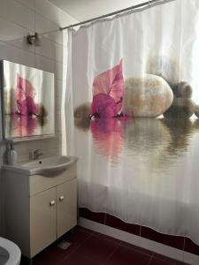 Apartament Cosminas Dream