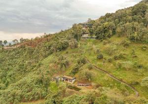 Refúgio Contemporâneo na Serra da Bocaina