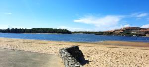 Appartement face au lac et à deux pas de locéan