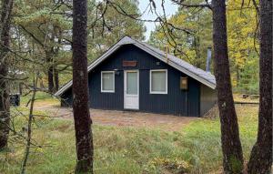 Pet Friendly Home In Oksbøl With Wifi