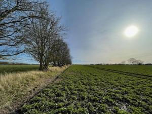 Holiday home "Treehouse"